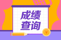 2021年全国税务师考试成绩查询入口开通（已考试地区）