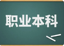 职业本科迎来招生就业丰收季