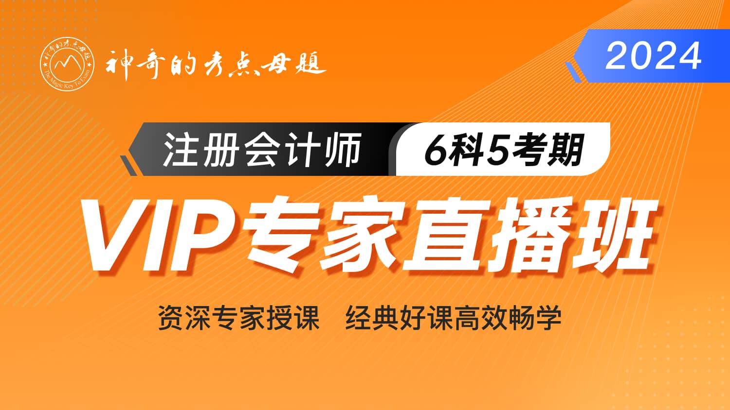 2024年注册会计师考试VIP专家直播班（6科5考期）