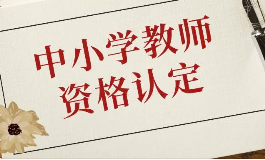 陕西省2023年下半年中小学教师资格认定公告